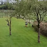 Cloghan 住宿加早餐酒店 3*