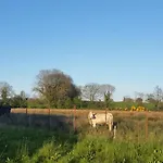 Cloghan Castleisland