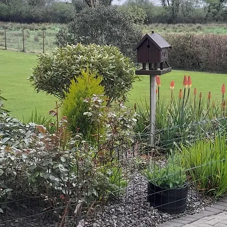 Cloghan Bed & Breakfast Castleisland