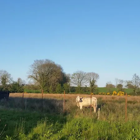 Cloghan Castleisland