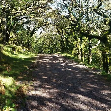 Cloghan Bed & Breakfast