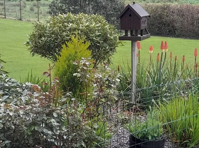 Cloghan 住宿加早餐酒店 卡斯莱兰