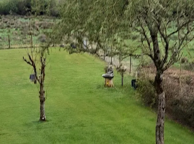 Cloghan 住宿加早餐酒店 3*