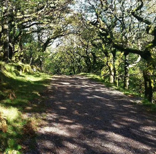 Cloghan Bed & Breakfast